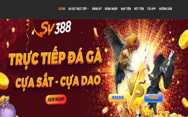Tầm quan trọng của việc người chơi truy cập vào nền tảng Bj66 chính thức - Bj66